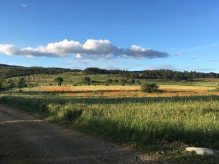 Café Culturel Le Cerf-Volant - 2