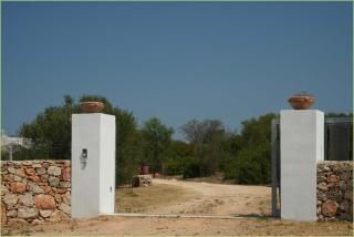 Tenuta degli Asinelli - 9