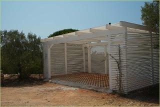 Tenuta degli Asinelli - 5