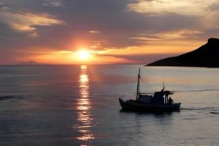 Nice studio with seaview - 1