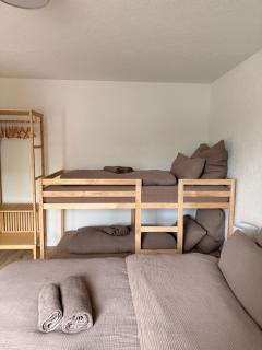 City Center Apartment Lahr - Europapark - 3