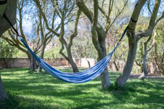 Son San Marti Gran - 2