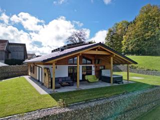 Luxus-Chalet Mühlberg - 9