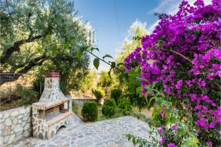 Tamar Apartments, Laganas - 8