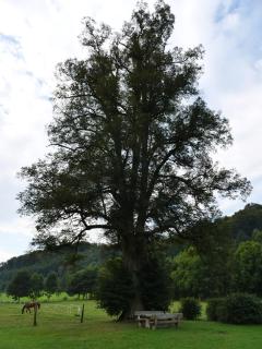 Gut Wenne - 7
