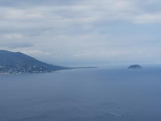 Angolo dei Fiori - 7