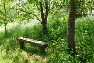 Dachstudios Alte Mühle - 7