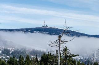 Fewo Harz mit Elan - 6
