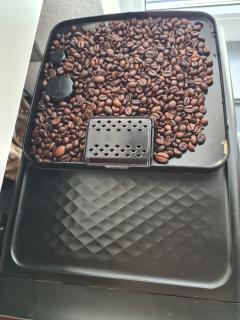 Ferienwohnung Pflüger mit Terrasse - 4