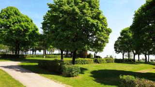 Franz Josefs Tinyhäuser - 5