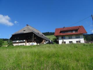 Hinterbauernhof Fewo Pferdeglück - 0