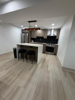 Luxurious Bronzeville Apartment with RoofTop - 6