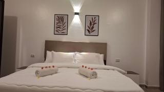 Malak house swimming pool &Garden - 6