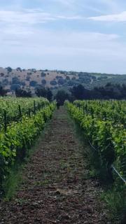 Country House Biobonizio - 8