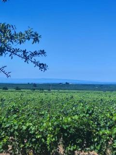 Country House Biobonizio - 7