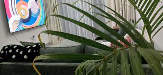 Thi Resident - 9