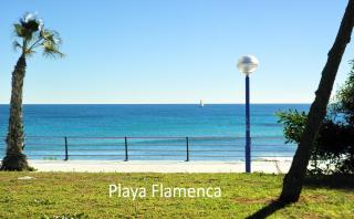 Apartment with large roof solarium - 7