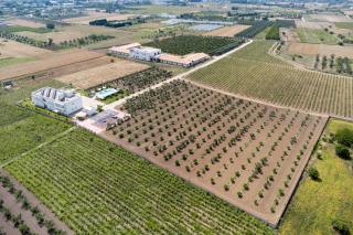 Le scuderie 9 - Galatone - 2