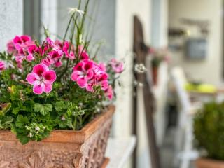 Apartment Wesseling - 8