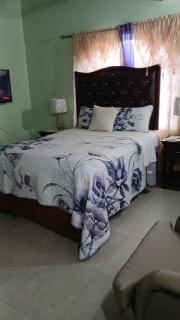 White House by White River - 5