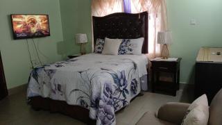 White House by White River - 6