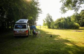 minicamping Het Zuiderscheveld - 7