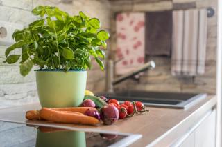 Friedolin im Bärenhüsli - 1