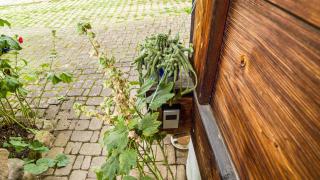 Haus Miriam - Münstertal - 3