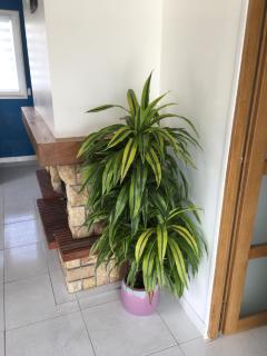 Gîte Le clos du bannet - 8