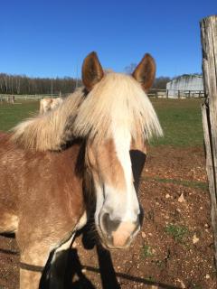 Gîte Le clos du bannet - 6