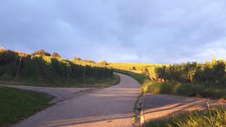 Haus Elfriede - Müllheim - 8