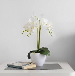 Apartamento Playa Morro Jable 2c - 0