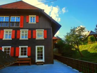 Schwarzwaldbauernhaus Bernau - 0