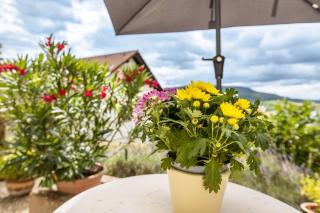 Ferienwohnung Rieth - 7