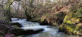 Chambre D'hôtes La Glycine - 2