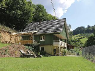 Ferienhaus Froschkönig - 9