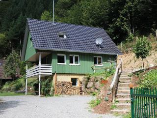 Ferienhaus Froschkönig - 7