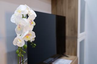 Dharma Apartment - 6