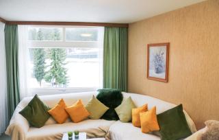 Apt -Schwarzwaldkult Pool und Sauna - 2