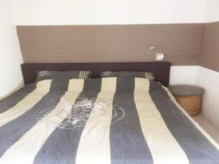 Duinroos Home with Terrace - 4