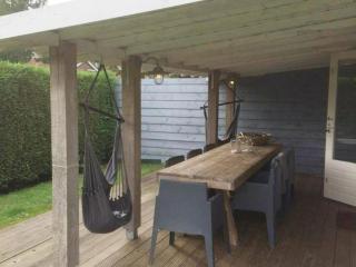 Duinroos Home with Terrace - 1