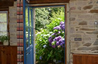 Gîte Peigne De Vénus - 3