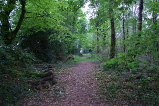 Gîte Peigne De Vénus - 1
