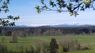 Ferienwohnung Birke - 6