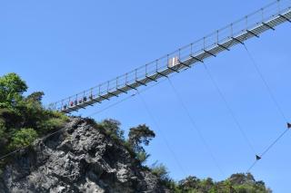 Au printemps Japonais - 9