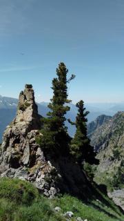 Au printemps Japonais - 2