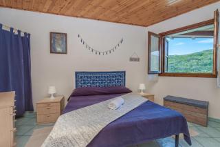 Blue&Green House With Shared Pool - Happy Rentals - 5