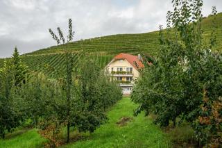 Ferienhof Mayer - Lautenbach - 7