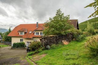 Ferienhof Mayer - Lautenbach - 9