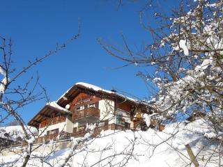Gand chalet montagne 30 personnes - Bernex - 6